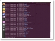 ubuntu1001.png