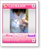 syokotan01.png