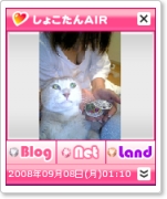 syokotan01.png