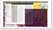 thinkpad02.png