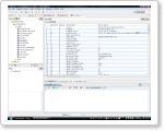 Firefox 禁止令と Eclipse のプラグイン dbview.png